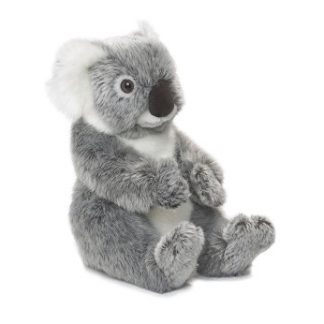 koala bamse wwf