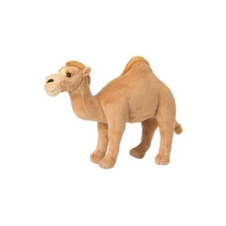kamel kosedyr wwf