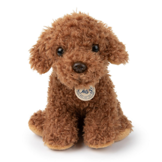 labradoodle bamse